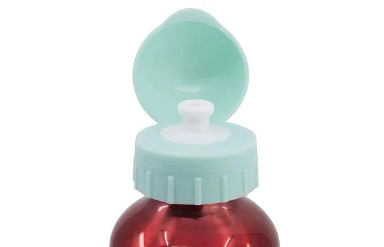 Minnie Mouse Aluminium Bottle